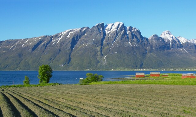 image: Her avgjorde én stemme valget
